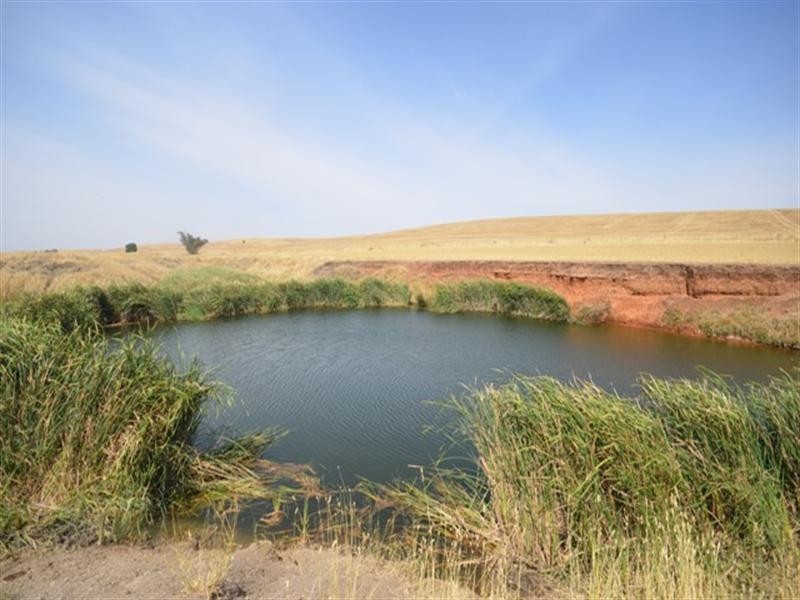 2 Lots RM Williams Highway, Andrews via, Spalding SA 5454