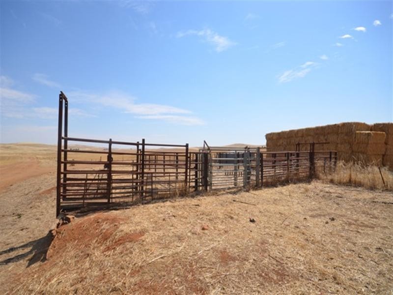 2 Lots RM Williams Highway, Andrews via, Spalding SA 5454