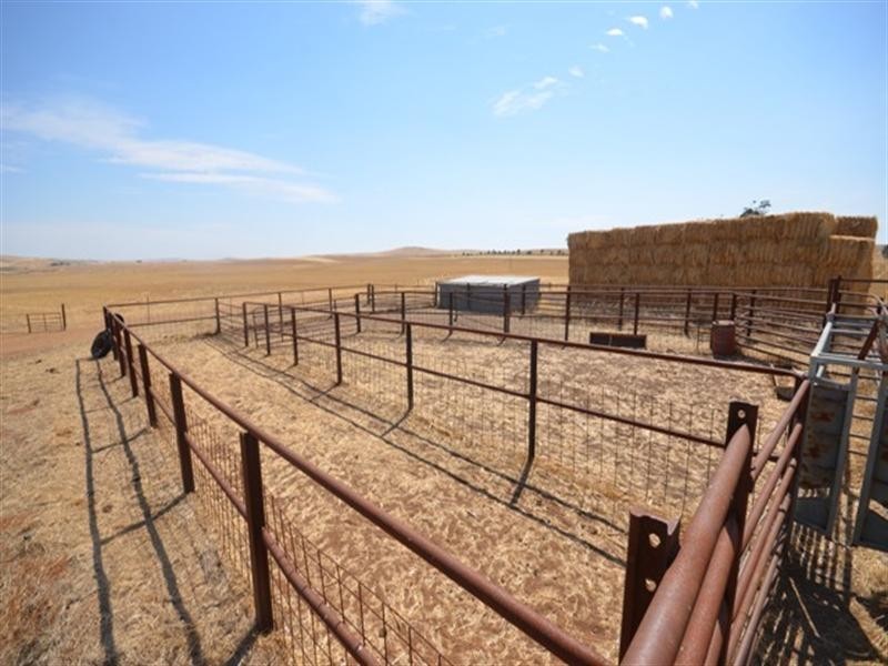 2 Lots RM Williams Highway, Andrews via, Spalding SA 5454