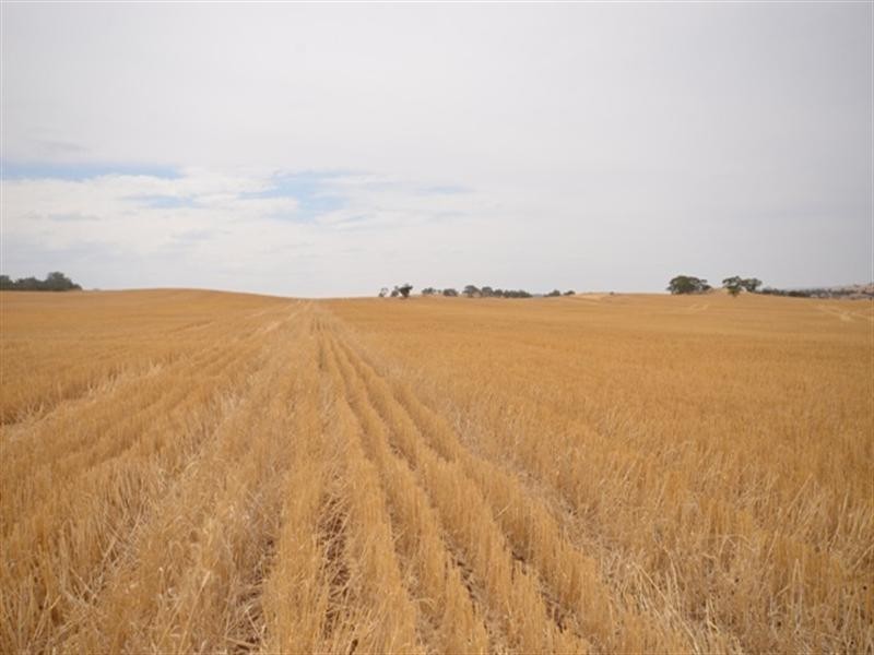 2 Lots Old Anlaby Road, Allendale North SA 5373