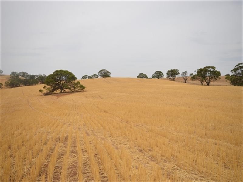 2 Lots Old Anlaby Road, Allendale North SA 5373