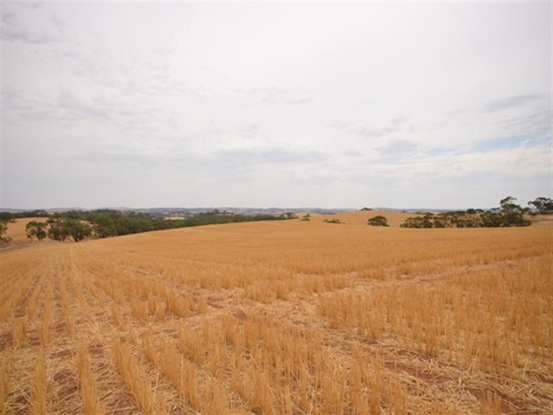 2 Lots Old Anlaby Road, Allendale North SA 5373
