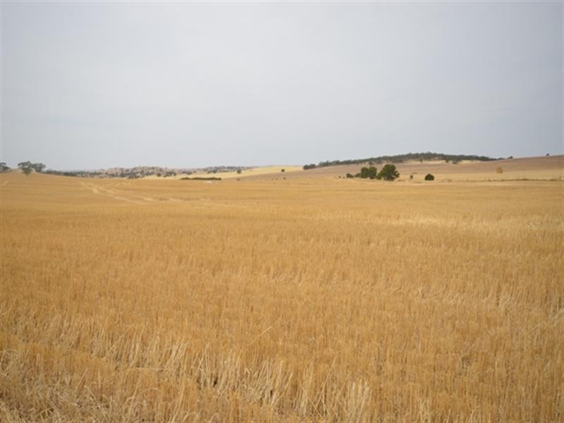 2 Lots Old Anlaby Road, Allendale North SA 5373