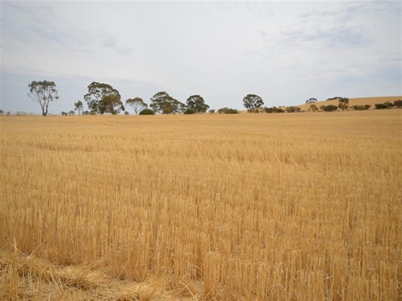 2 Lots Old Anlaby Road, Allendale North SA 5373