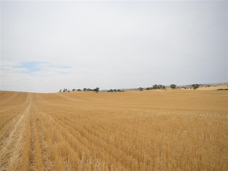 2 Lots Old Anlaby Road, Allendale North SA 5373