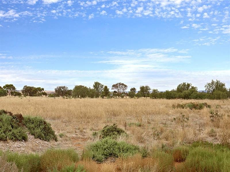 39 Valley Road, Koolunga SA 5464