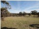 Lot 10 Spring Gully Road, Clare SA 5453