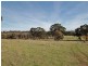 Lot 10 Spring Gully Road, Clare SA 5453