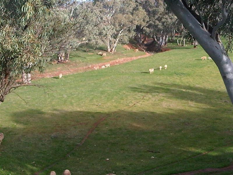 “Braeside” Tarcowie Road, Jamestown SA 5491