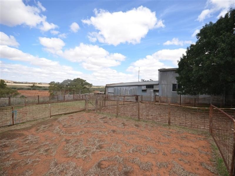 “Braeside” Tarcowie Road, Jamestown SA 5491