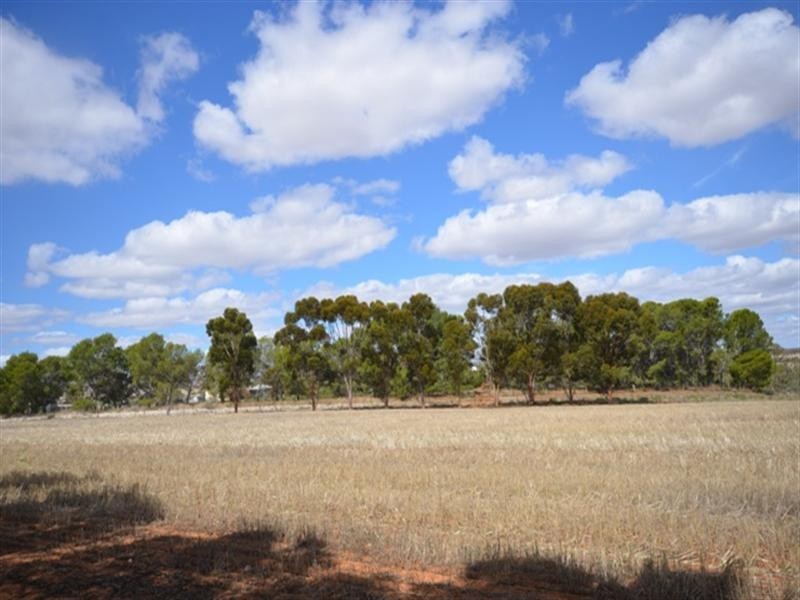 “Braeside” Tarcowie Road, Jamestown SA 5491