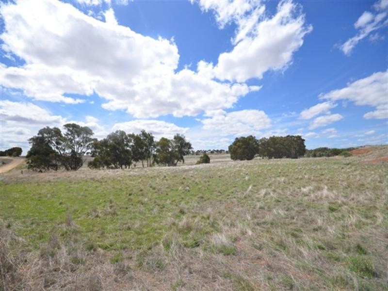 “Braeside” Tarcowie Road, Jamestown SA 5491