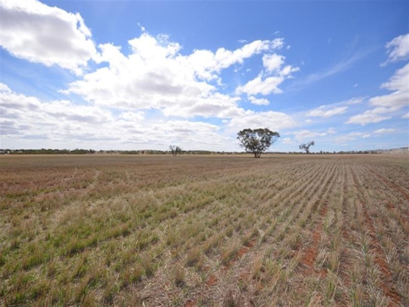 “Braeside” Tarcowie Road, Jamestown SA 5491