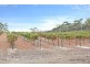 Lts 9 and 21 Main North Road, Sevenhill SA 5453