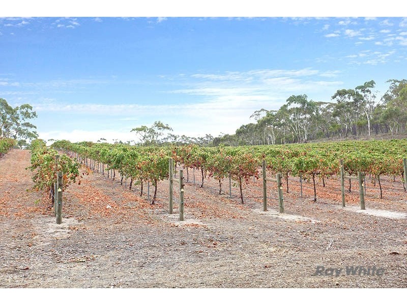 Lts 9 and 21 Main North Road, Sevenhill SA 5453