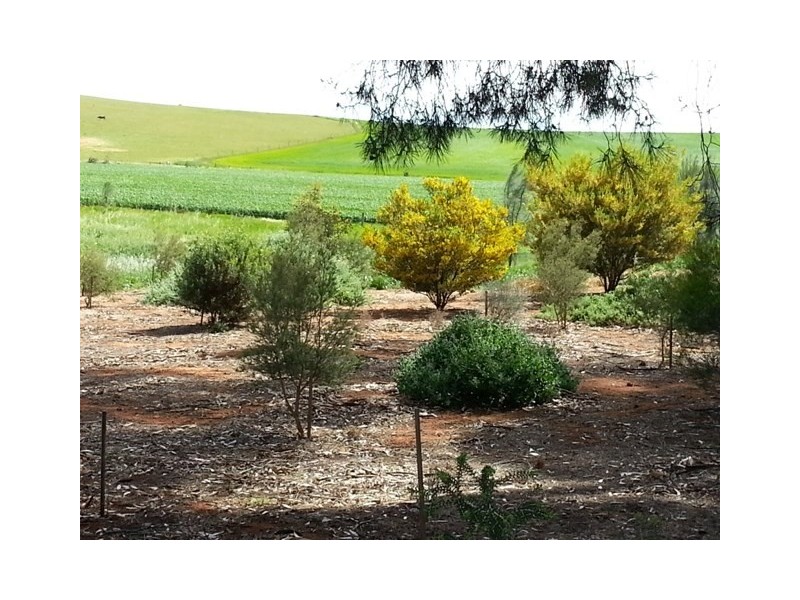 “Players Farm” Jacka Road, Leighton via, Burra SA 5417