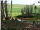 “Players Farm” Jacka Road, Leighton via, Burra SA 5417