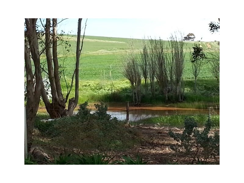 “Players Farm” Jacka Road, Leighton via, Burra SA 5417