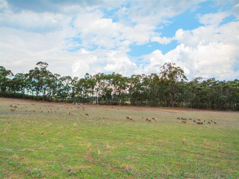 298 Spring Farm Road, Clare SA 5453
