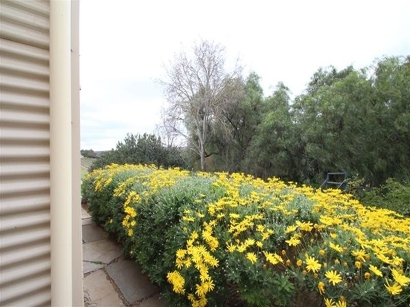 15 Main North Road WATERVALE via, Clare SA 5453