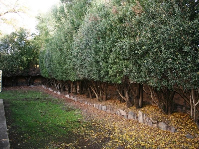 1 Ware Street, Burra SA 5417