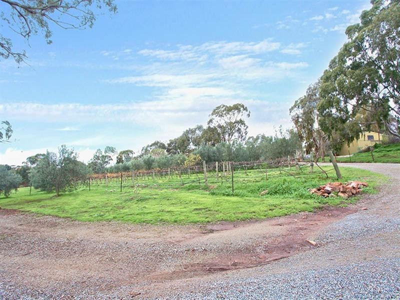 118 White Hut Road, Clare SA 5453