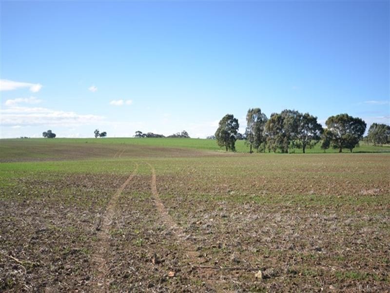 59 Smith Road, Mintaro SA 5415