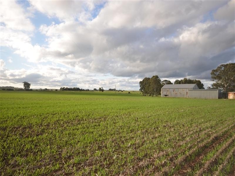 59 Smith Road, Mintaro SA 5415