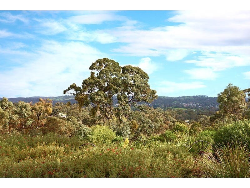 15 Woods Court, Clare SA 5453