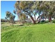 82 Emu Flat Road, Armagh SA 5453