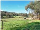 82 Emu Flat Road, Armagh SA 5453