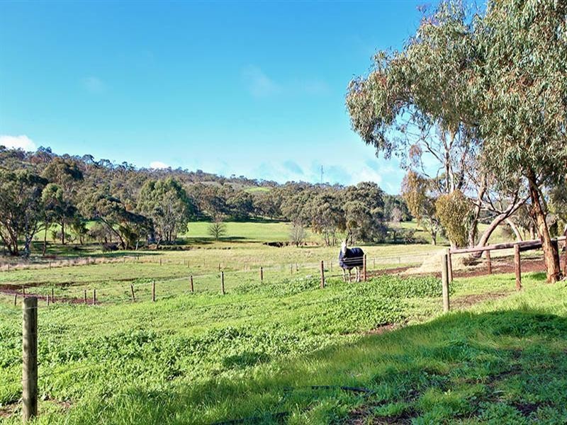 82 Emu Flat Road, Armagh SA 5453