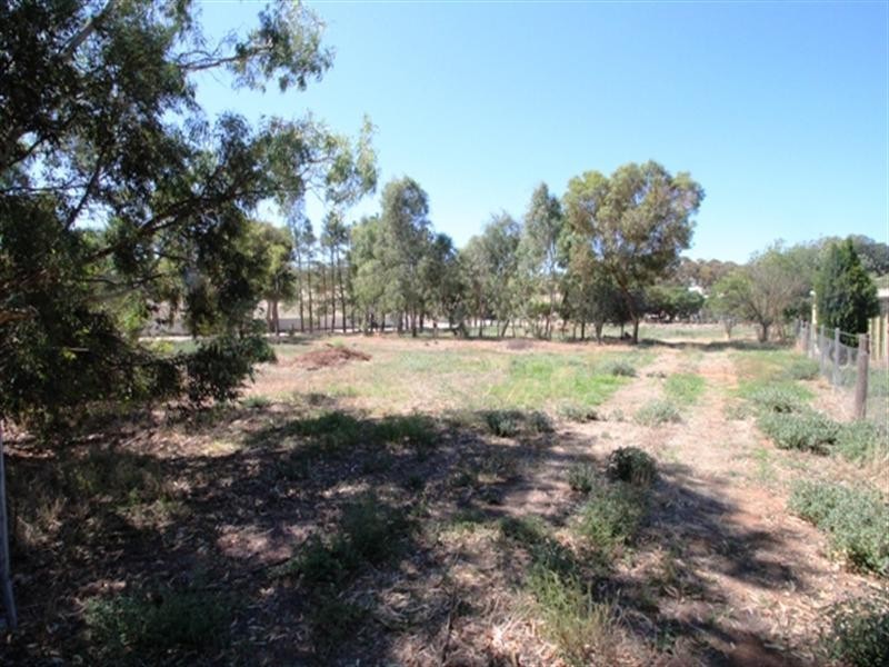 Lot 51 and 52 Young Street, Burra SA 5417