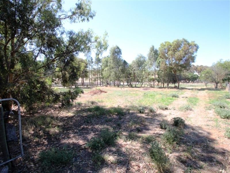 Lot 51 and 52 Young Street, Burra SA 5417