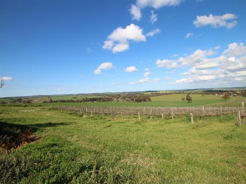 Lot 56 Dennis Road, Auburn SA 5451
