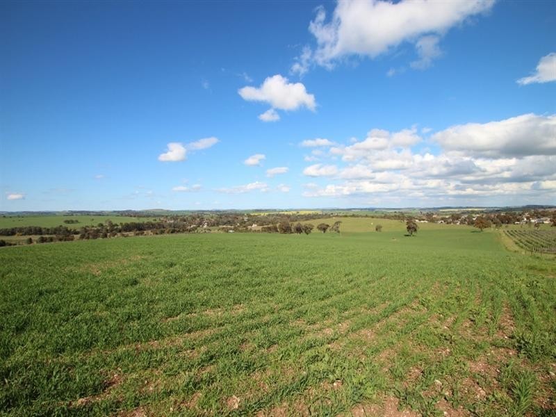 Lot 56 Dennis Road, Auburn SA 5451