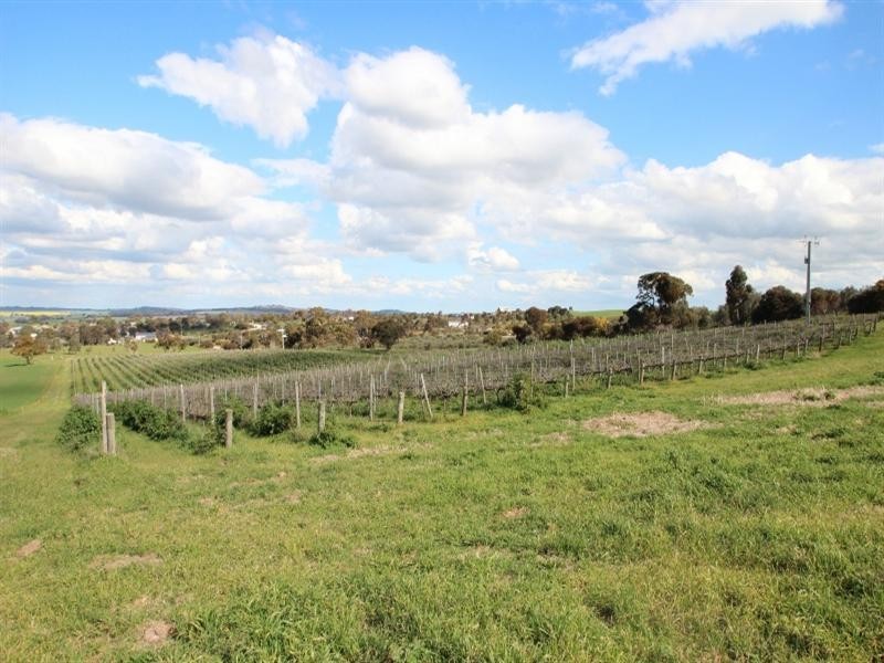Lot 56 Dennis Road, Auburn SA 5451