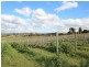 Lot 56 Dennis Road, Auburn SA 5451