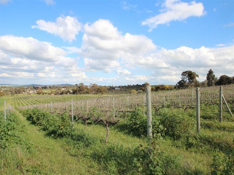 Lot 56 Dennis Road, Auburn SA 5451