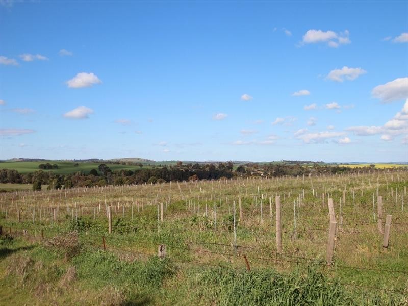 Lot 57 Dennis Road, Auburn SA 5451