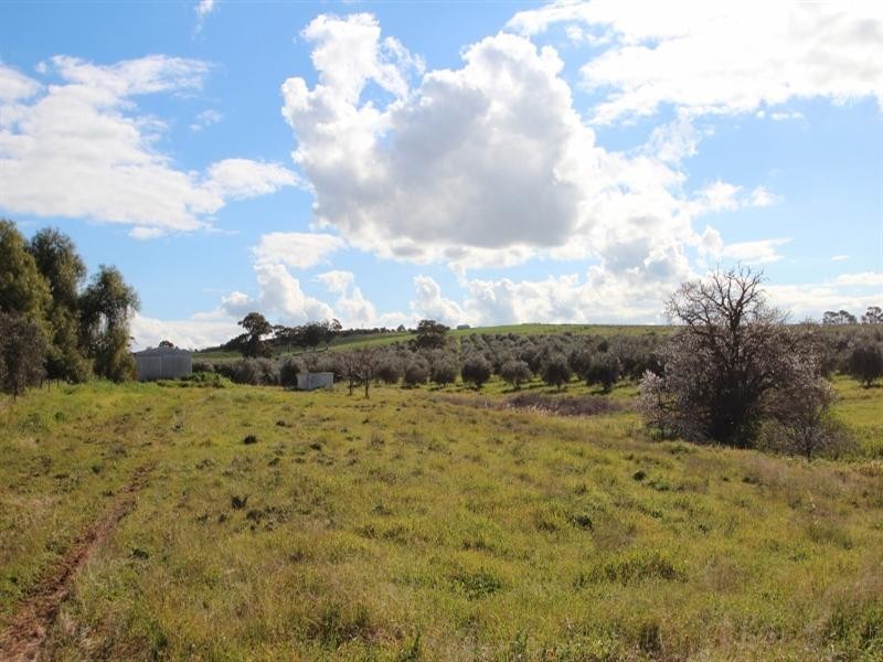 Lot 57 Dennis Road, Auburn SA 5451