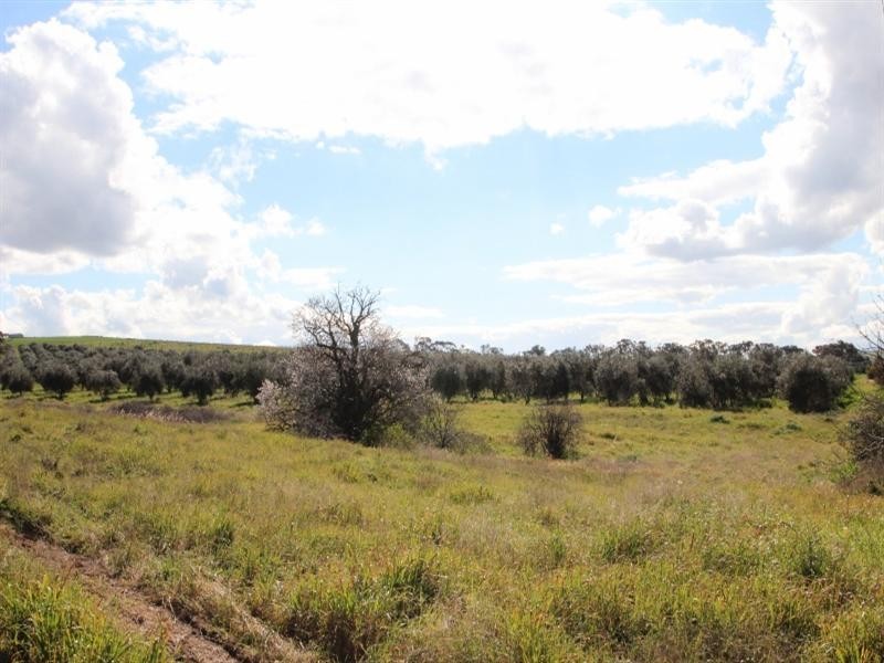 Lot 57 Dennis Road, Auburn SA 5451