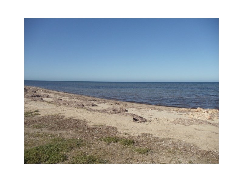 7 Main Street, Pine Point SA 5571