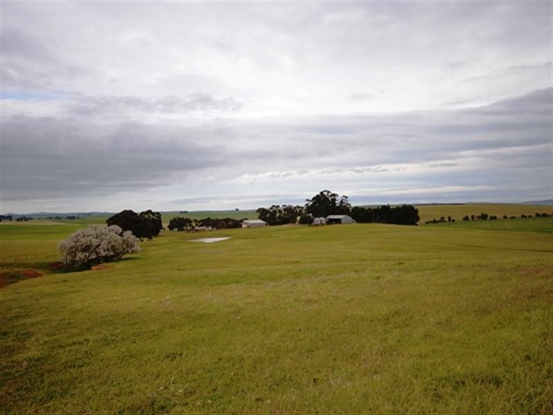 “Springvale” Braefoot Road, Hanson SA 5417