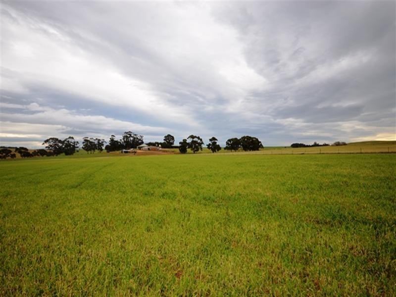 “Springvale” Braefoot Road, Hanson SA 5417