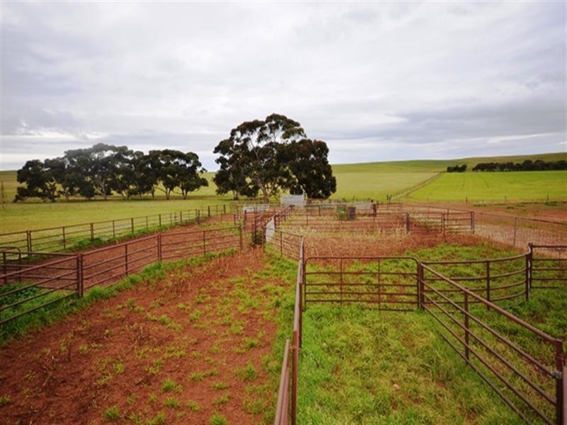 “Springvale” Braefoot Road, Hanson SA 5417