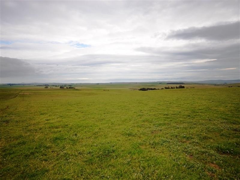 “Springvale” Braefoot Road, Hanson SA 5417