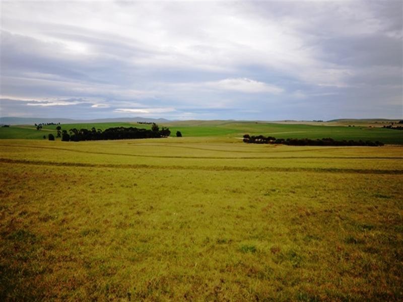 “Springvale” Braefoot Road, Hanson SA 5417