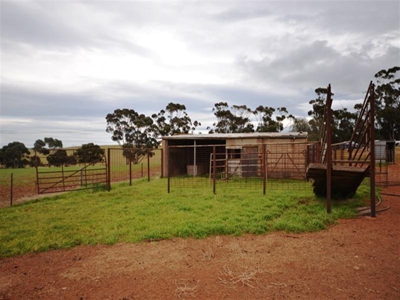 “Springvale” Braefoot Road, Hanson SA 5417