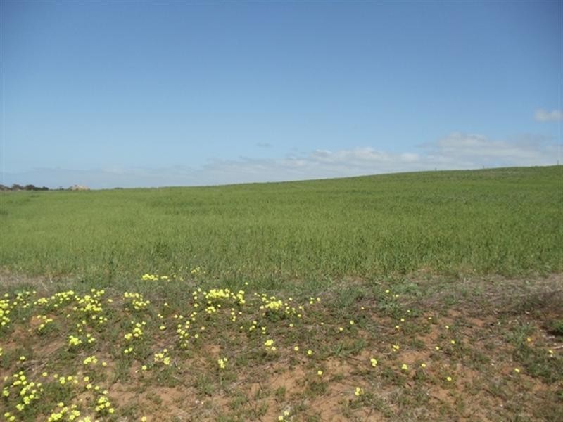 3 Pepper Road, Ardrossan SA 5571